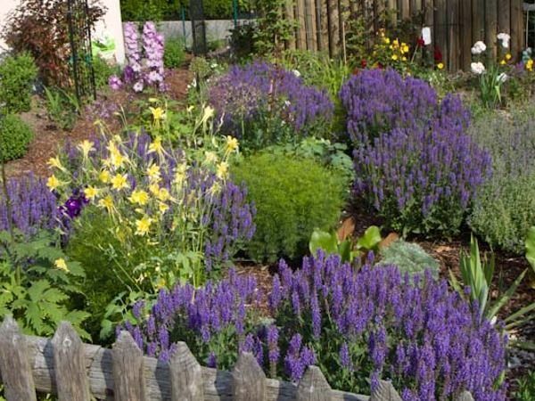 B029-szalwia-omszona-mainacht-4