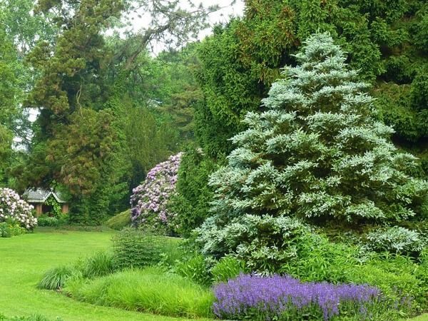 I021-jodla-koreanska-silberlocke-7