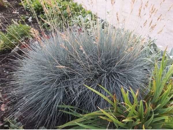 T004-kostrzewa-sina-5