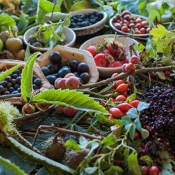 internetowy sklep ogrodniczy