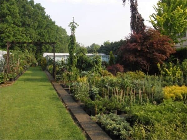 12 szkolka-szotek.pl