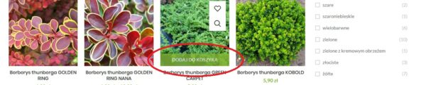 koszyk1 internetowy sklep ogrodniczy