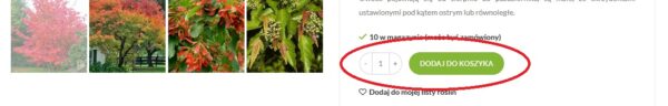 koszyk2 internetowy sklep ogrodniczy