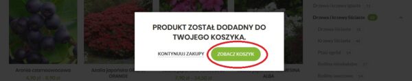 koszyk3 internetowy sklep ogrodniczy