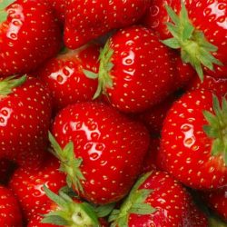 Truskawka HONEOYE - sadzonki w doniczkach