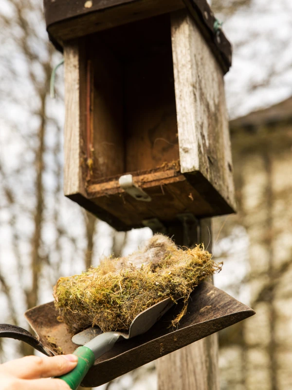 kalendarz-ogrodnika-luty-w-ogrodzie-1 Czyszczenie budki dla ptaków