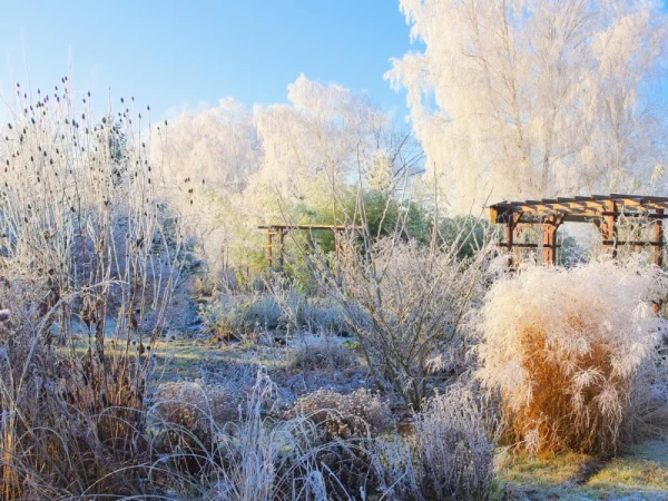Kalendarz ogrodnika - luty w ogrodzie
